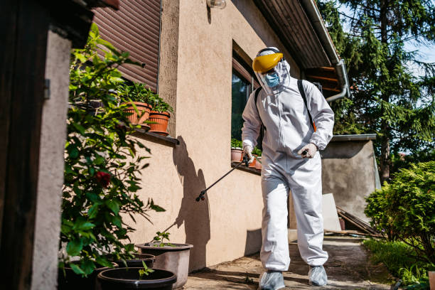 Best Flea Control Services  in Dexter, OR