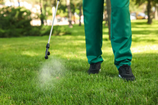 Best Affordable Pest Control Services  in Dexter, OR