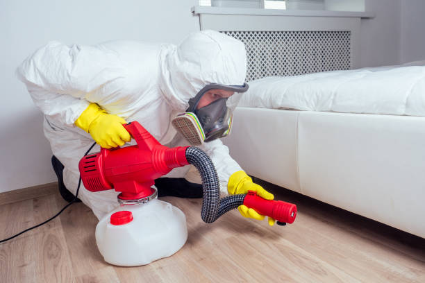 Best Pest Control Near Me  in Dexter, OR