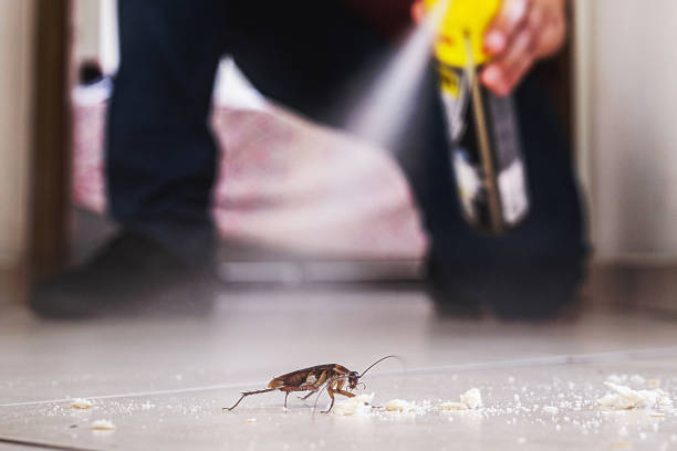 Best Exterminator Services  in Dexter, OR