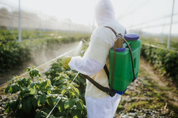 Best Pest Prevention Services  in Dexter, OR
